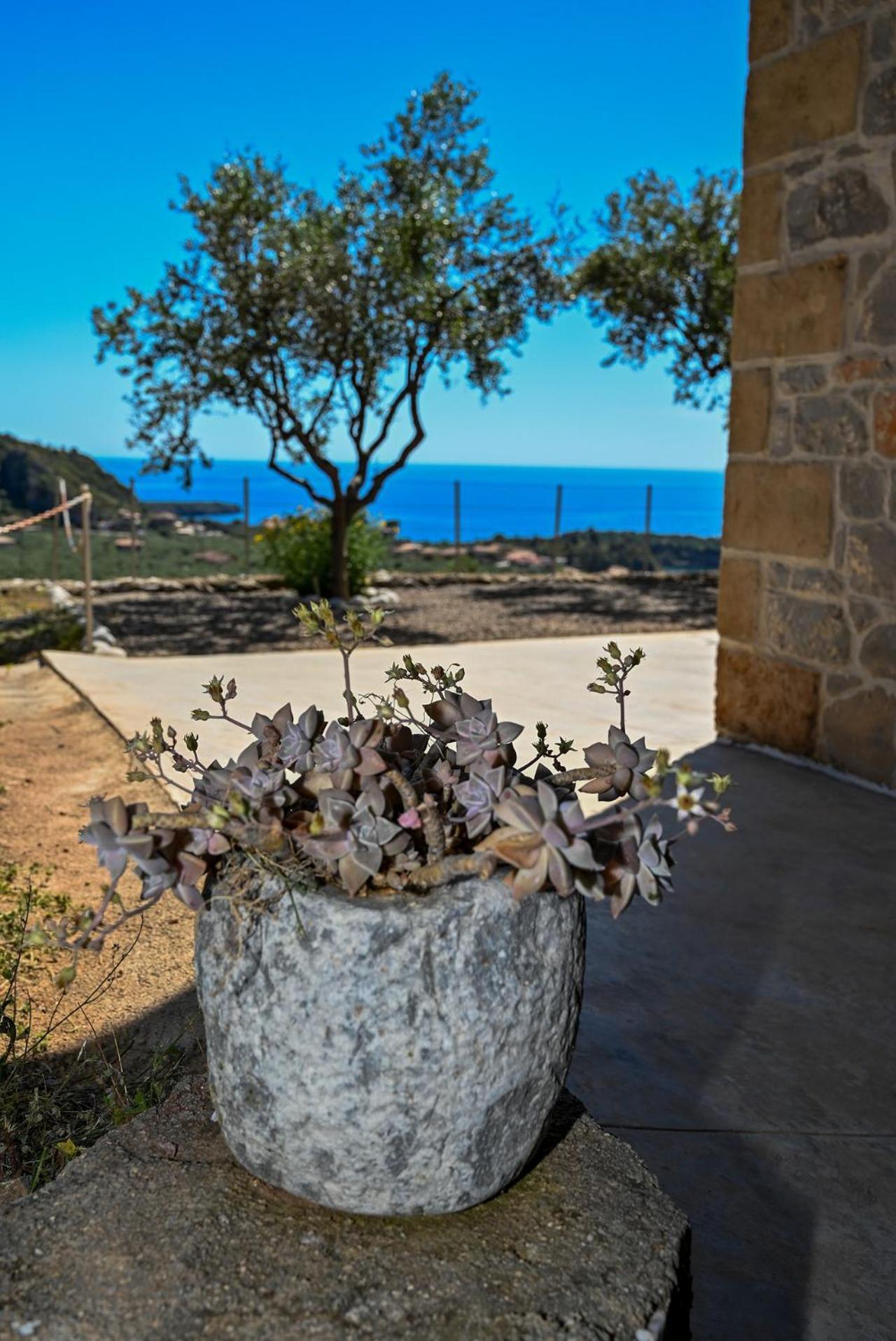 Athina'S Stone House In Kardamyli别墅 外观 照片