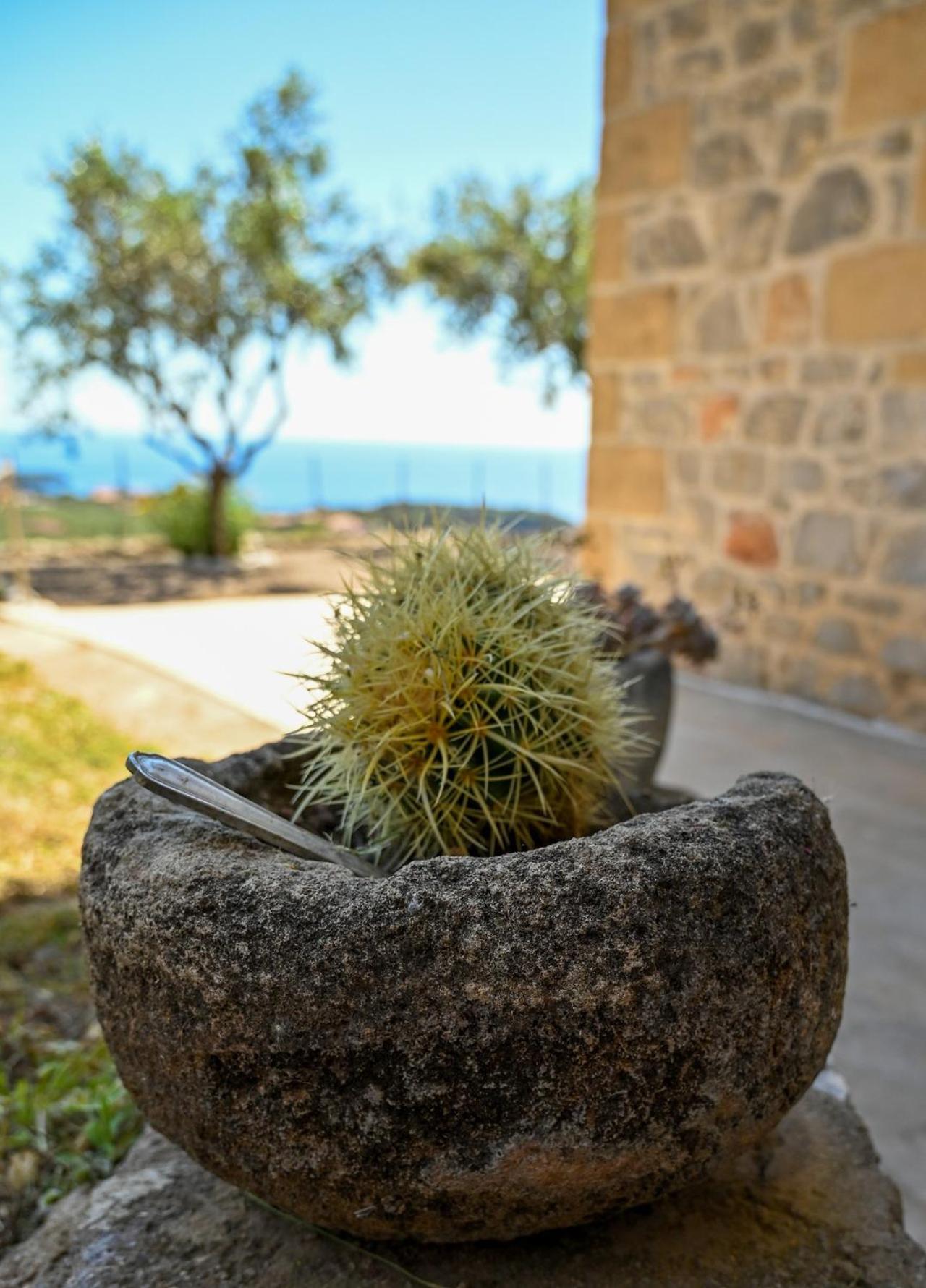 Athina'S Stone House In Kardamyli别墅 外观 照片