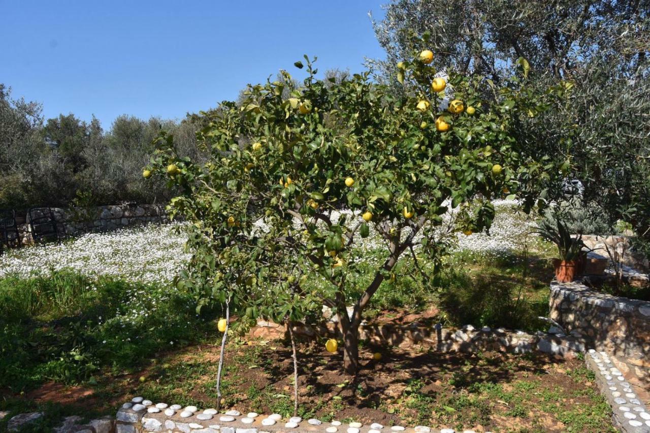 Athina'S Stone House In Kardamyli别墅 外观 照片